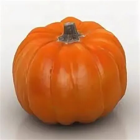 Pumpkin 10. Тыква на белом фоне. Тыква адопт ми. Тыква. Тыква медовый пирог.