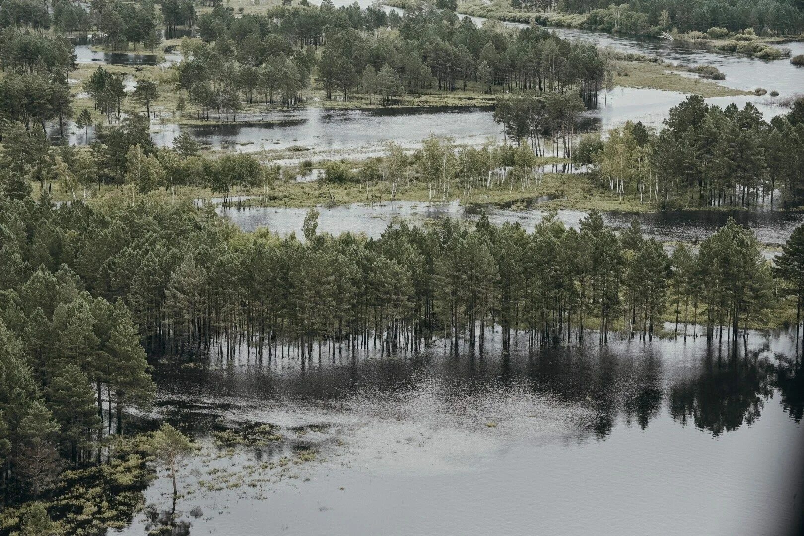 Река Селемджа Амурская область. Зея Амурская область. Река Селемджа Амурская область фото. Город Зея Амурской области.