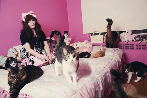 Кошатница