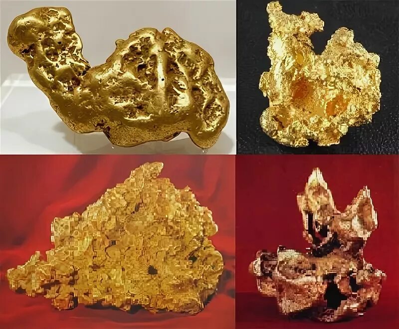 самородок золота миасс. самый большой самородок золота найденный в мире. самородок холтермана. самородок посейдон золотой. самые большие золотые самородки в мире.