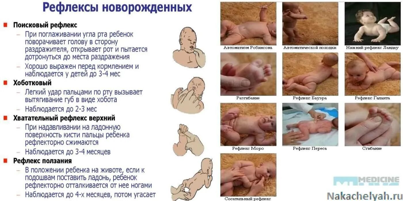 Когда дети видят после рождения. Рефлексы новорожденного Бабинского Моро. Врожденные рефлексы новорожденных сосательный. Жизненно важные рефлексы новорожденного. Безусловные рефлексы новорожденного спинальные.