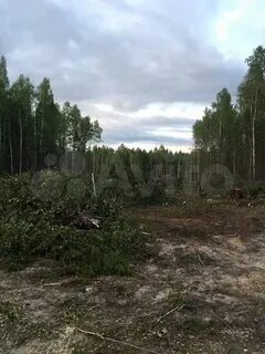Участков югорск