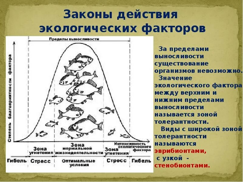 Примеры влияния экологических факторов на организмы. Экологические факторы. Влияние экологических факторов на организмы. Закономерности действия экологических факторов на организм. Действие экологических факторов на организм.