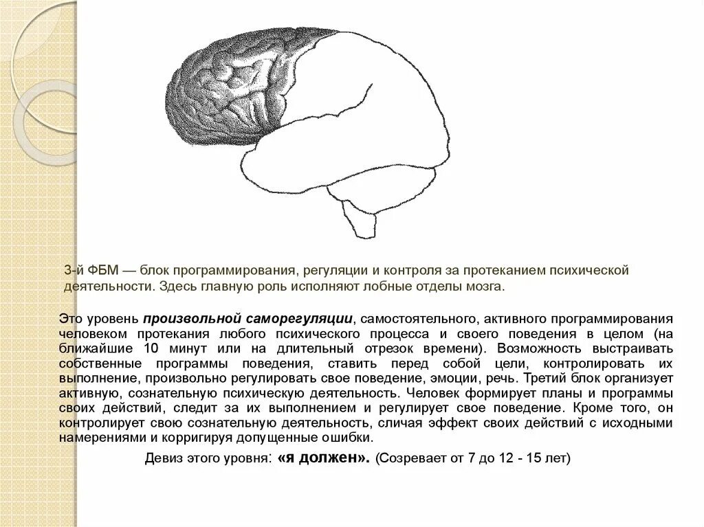 Метод замещающего онтогенеза