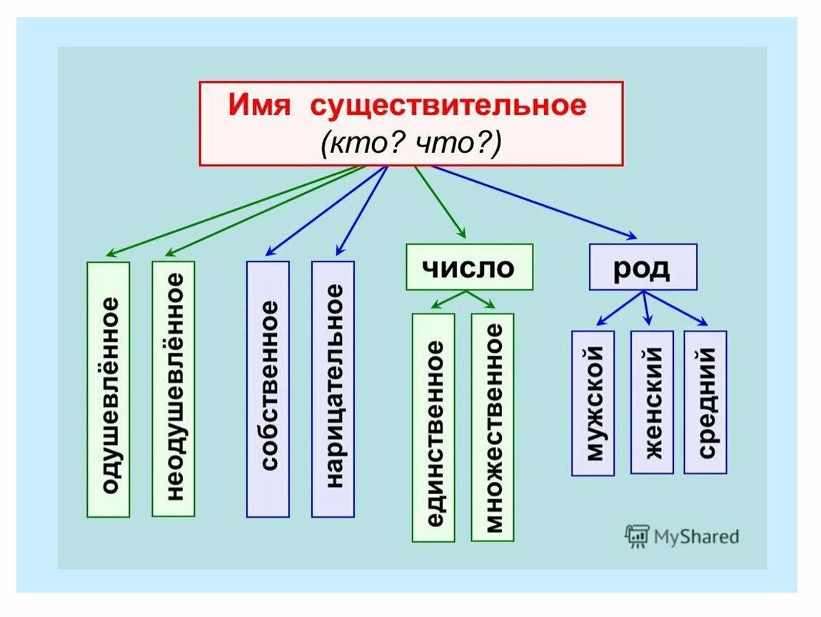 Пестрый имя существительное