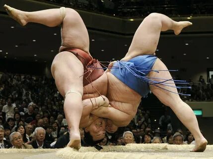 Самые интересные факты о борьбе сумо.