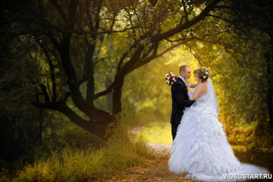 Загс старое шайгово. Пара старый оскол. Дворец бракосочетания старый оскол. Улыбка старый оскол свадьба. Загс старый оскол.