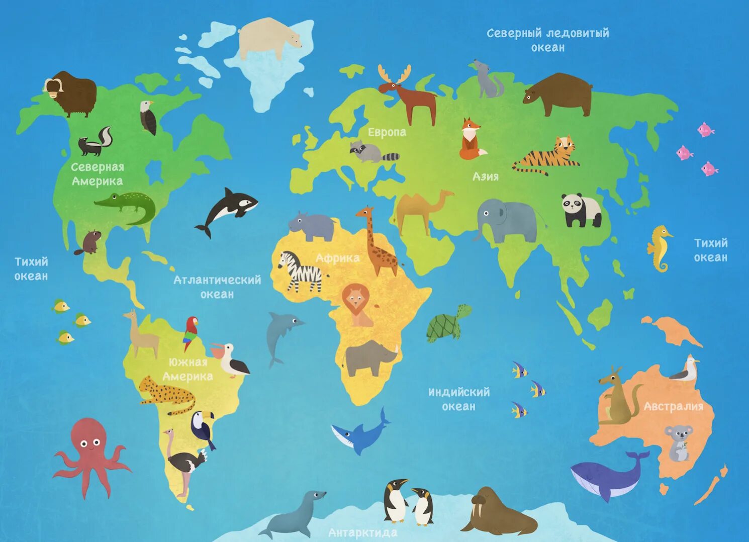 Материки для дошкольников. Животные по континентам для детей. Материки и континенты для детей. Макет материков с животными.