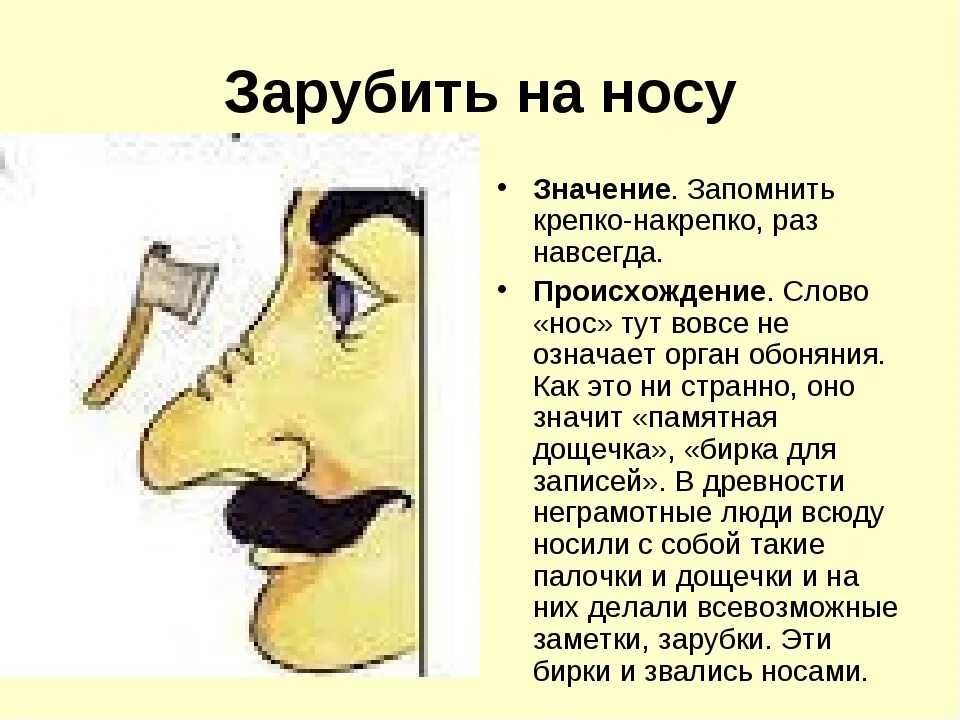 Ешьте ртом что значит. Фразеологизмы про нос. Зарубить на носу. Фразеологизм зарубить на носу. Заруби на носу фразеологизм.