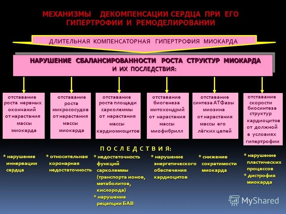 Гиперфункция миокарда. Гиперфункция миокарда