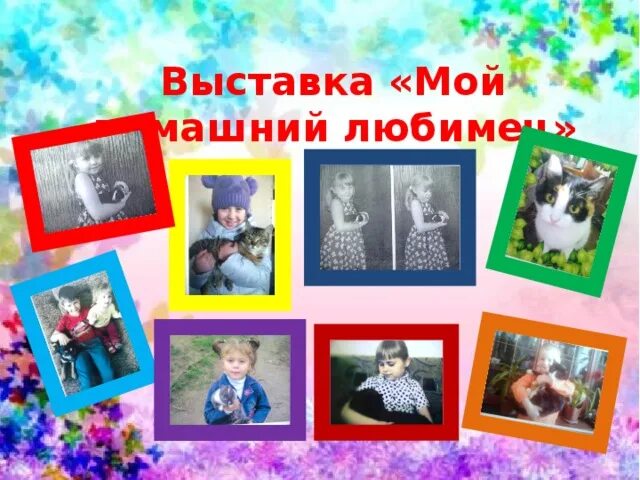 Проект мой домашний питомец средняя группа Проект мои домашние питомцы 1