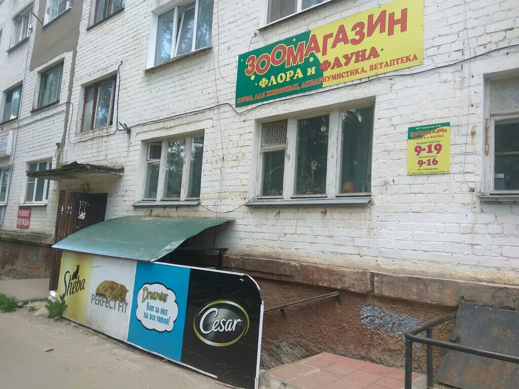 Зоомагазин в орле. Зоомагазин в орле. Зоомагазин в орле на старомосковской. Зоомагазин орел адреса. Комсомольская, 238.
