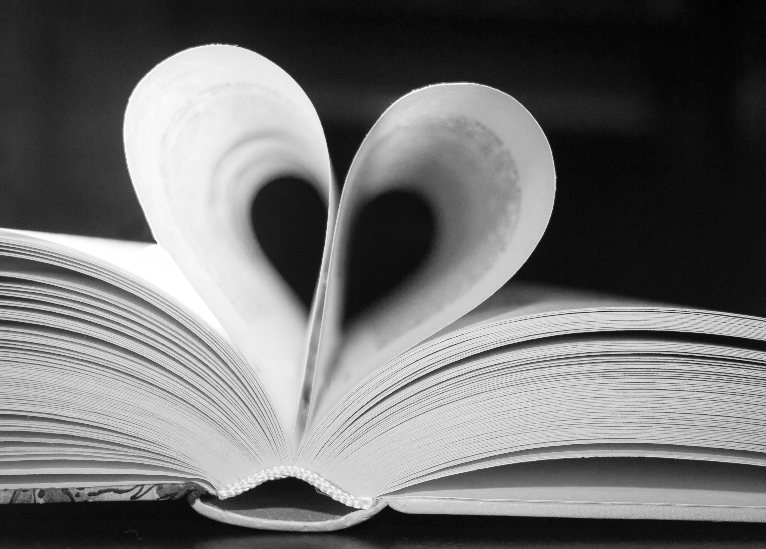 Белая книга жизни. Книга черно белая. белое на черном книга. красивая белая книжка. книга для….