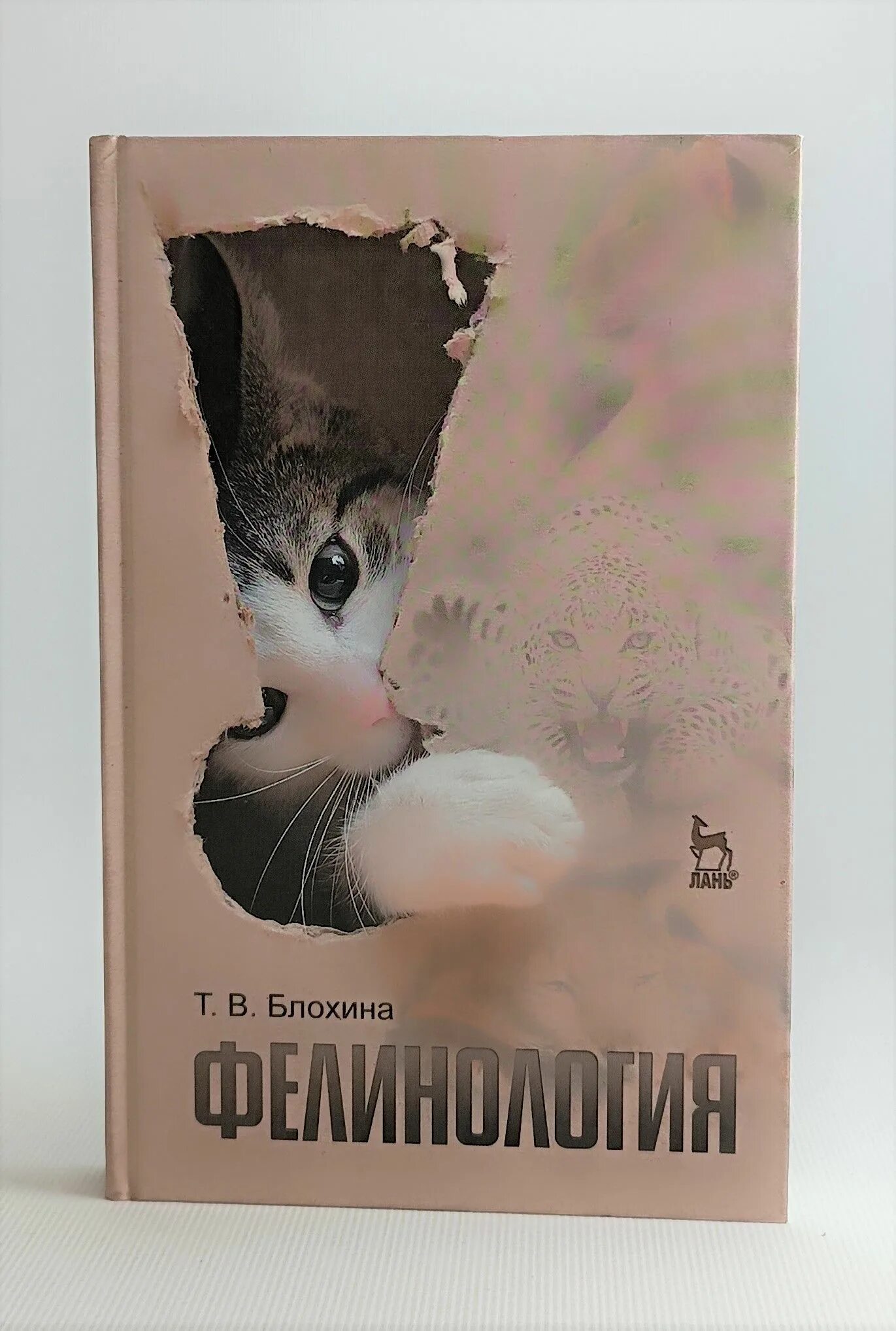 Фелинология это наука изучающая. Фелинология это наука изучающая. Фелинология это наука. Фелинология это наука. Фелинолог фото.