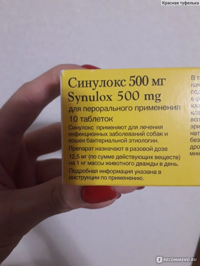 Синулокс дозировка. Синулокс 250 мг для собак дозировка. Синулокс 125 мг. Синулокс 500 инструкция. Синулокс для собак дозировка в таблетках.