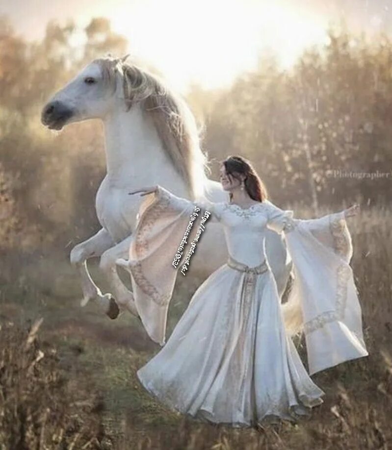 Кони сказки девочку. Девушка и белая лошадь. Балерина и лошадь. Фотосессия лошадь и балерина.