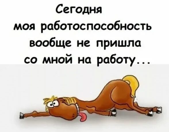 Пришел в 7 утра. Юмор про работу. Работаю как лошадь. От работы кони дохнут прикол. Сегодня моя работоспособность вообще.