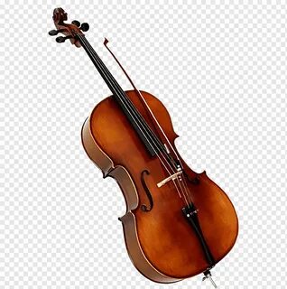 Violin cello