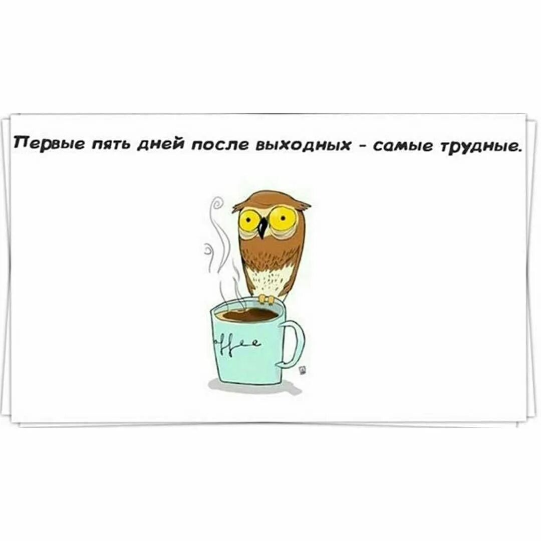 Доброе утро работающим. С добрым утром демотиваторы смешные. Первые 5 дней после выходных самые трудные. Доброе утро шутка. Понедельник юмор.