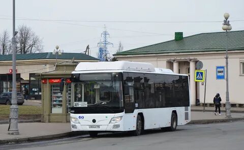 Автобус 105 спб