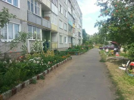 Улица зеленая иваново