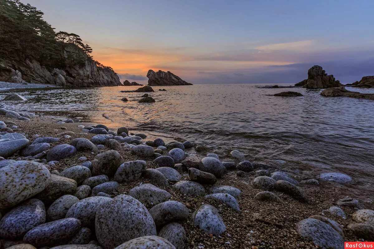 дальневосточный морской заповедник закат. ноги рассвет море дерево. утро приморья. скала два брата мурманск. утро приморья.