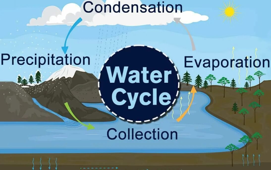 Water Cycles. Круговорот воды на английском. Water Cycle for Kids. Круговорот воды в природе на английском.