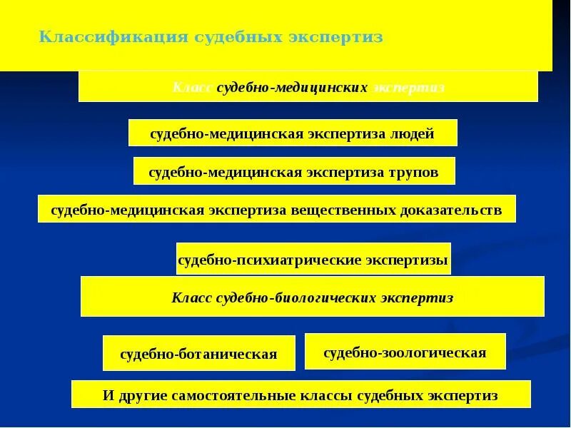 Список судебных экспертиз. Этапы судебно-медицинской экспертизы. Классификация судебно-медицинских экспертиз. Классификация суд экспертиз. Классификация судебных экспертиз криминалистика.