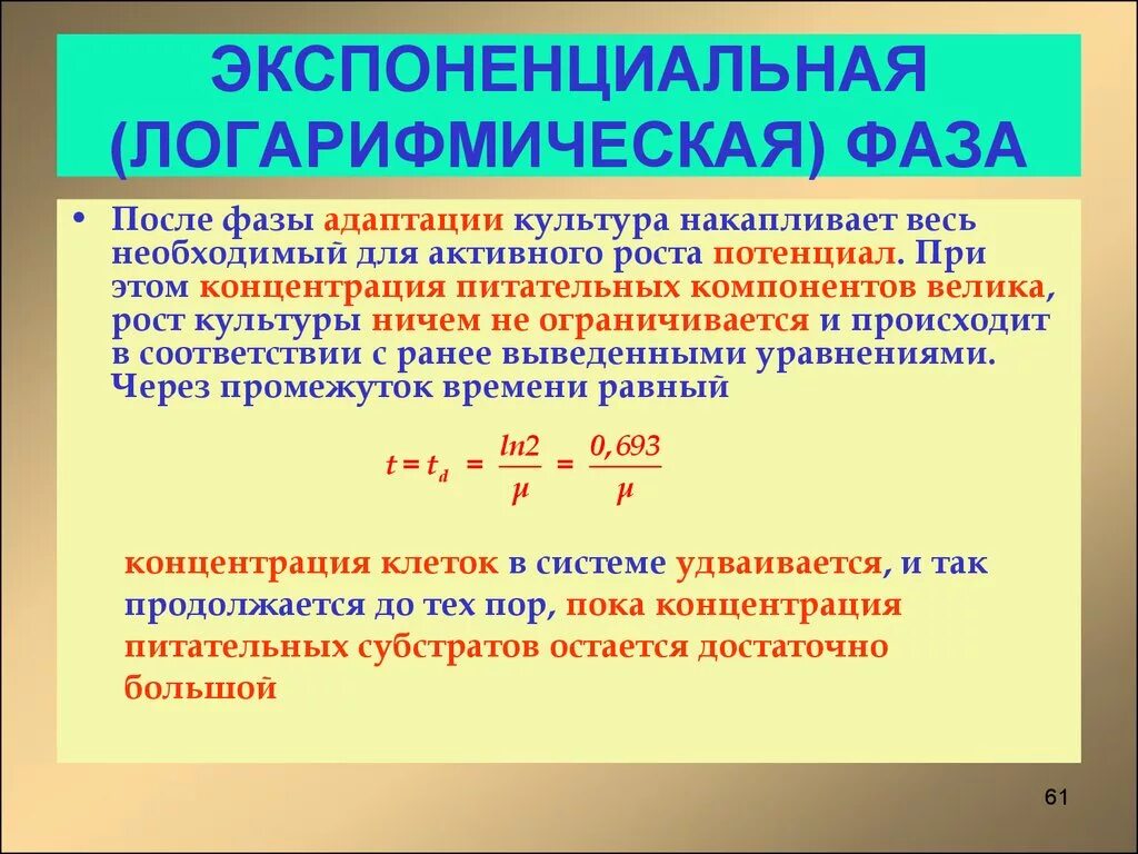 Экспоненциальный рост презентация 10 класс. Логарифмическая фаза. Экспоненциальная фаза роста. Фаза логарифмического роста. Логарифмическая фаза (экспоненциальная).