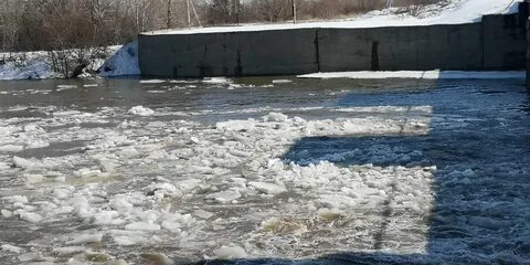 Уровень реки алей рубцовск