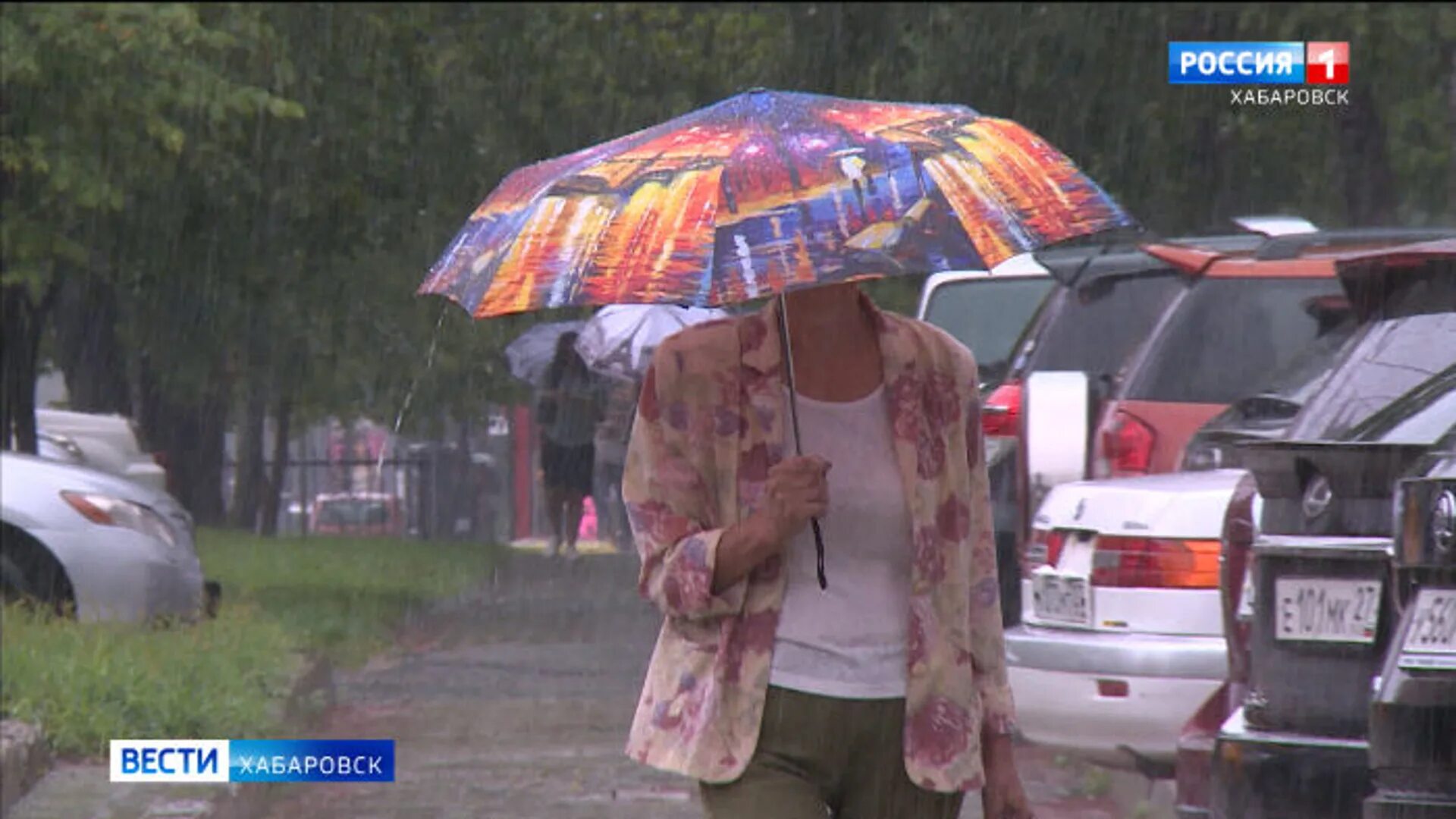 Ливень в Хабаровске. Дождь ливень. Ведущие дождя. Август дождь.