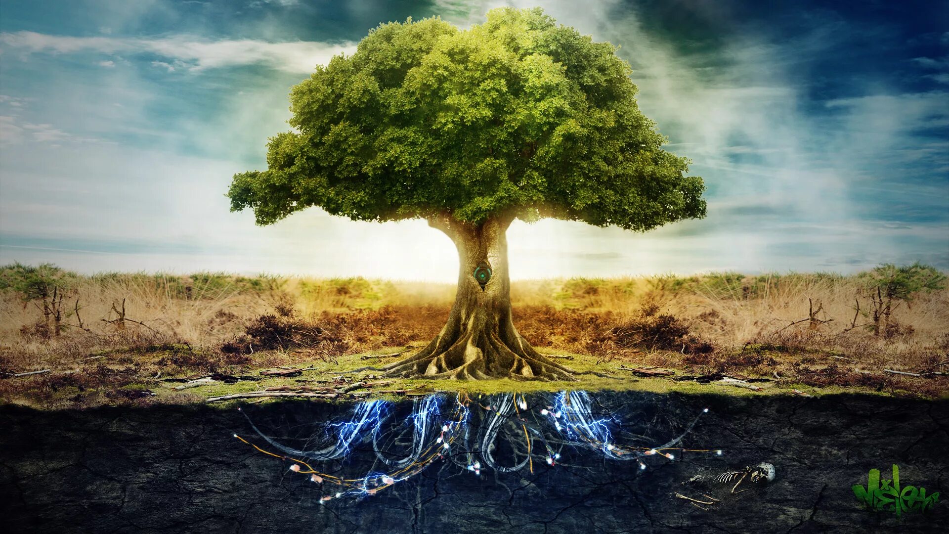 Иггдрасиль мировое Древо. Родовое Древо корни рода. "Tree of Life" ("дерево жизни") by degree. Красивое дерево.
