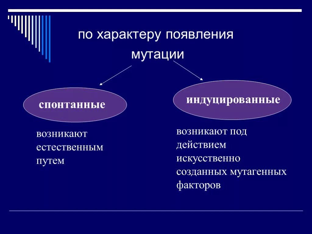 Виды мутаций спонтанные индуцированные. Спонтанный мутагенез. Естественная мутация. Спонтанные мутации дезоксирибонуклеиновой кислоты. Естественная мутация.