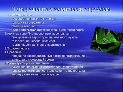 Определение экологической проблемы