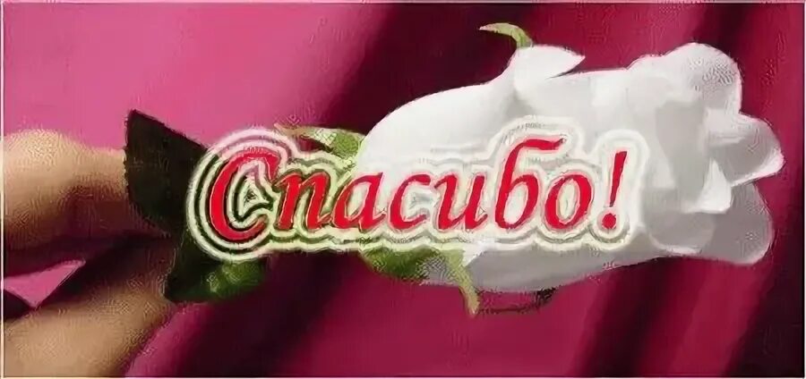 Спасибо насте