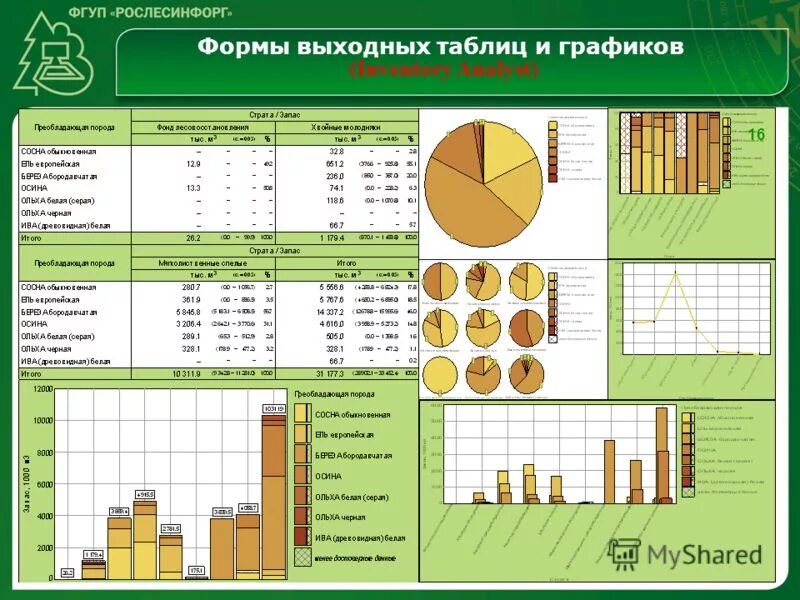 фгуп рослесинфорг. количественная характеристика леса. структура рослесинфорга. рослесинфорг новые формы отчетности. стереодешифрирование.
