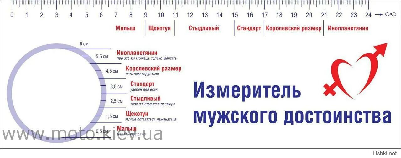 На сколько увеличиваются нормы. Норма размера полового члена. Таблица размеров мужского полового органа. Нормальный диаметр члена. Нормальный размер мужского полового члена.