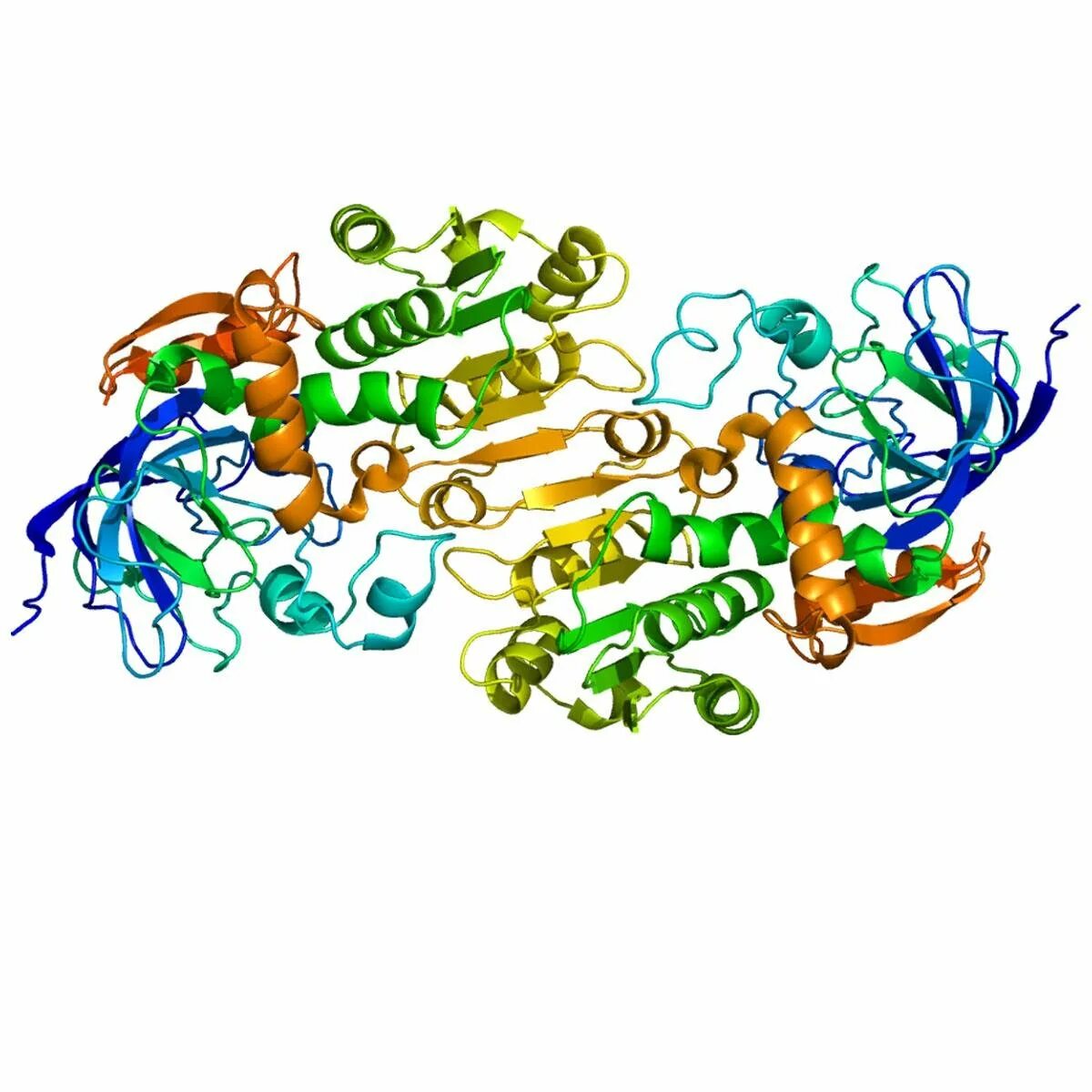 Ферменты картинки. Фермент алкогольдегидрогеназа. Трехмерная структура белка. Ферменты без фона. Ферменты анимация.