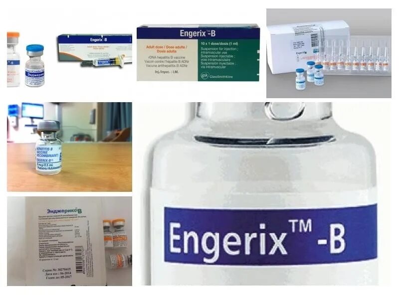 Вакцина против гепатита энджерикс. Вакцина гепатита в энджерикс. Вакцина против гепатита в (Engerix-b). Энджерикс в Бельгия.