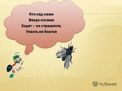 Кто же над нами