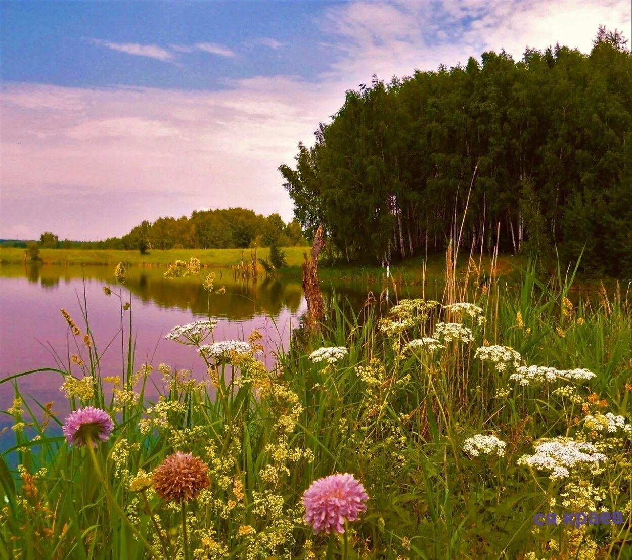 Природа беларуси детям. Лучшие летние пейзажи россии. природа россии красивые фото для вдохновения. природа беларуси фото в хорошем качестве. фото сергея краева.