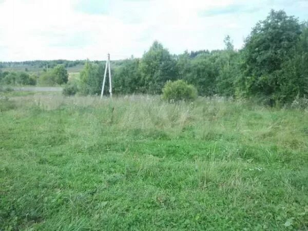 Приозерный д. Лучки новгородская область. Усадьба лучки владимирская область. Деревня лучки трубчевский район. Лучки валдайский район.