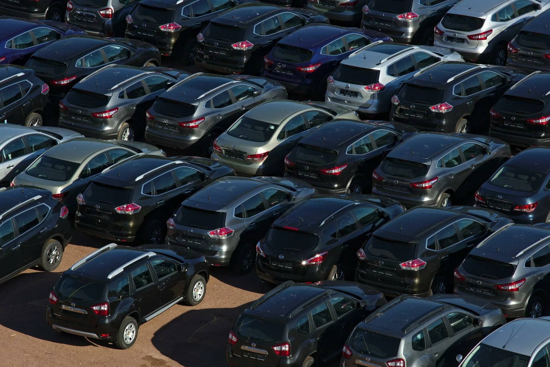 Куча автомобилей. Кладбище новых автомобилей. Авторынок спб. Автомобили иномарки. Много автомобилей.