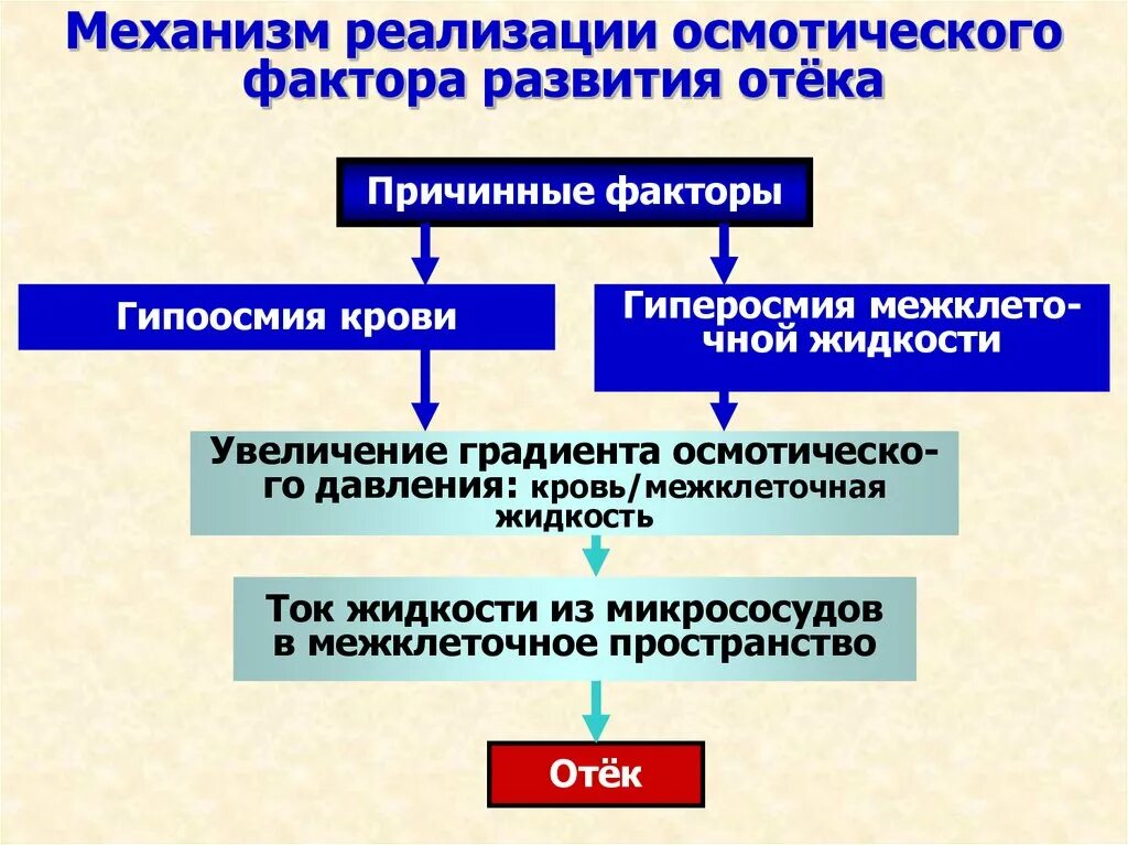 Причины появления отеков. Механизм возникновения отеков патофизиология. Механизм развития воспалительного отека патофизиология. Общие механизмы развития отеков. Механизмы образования отеков схема.