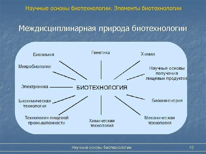 Биотехнология 10 класс. Научные основы биотехнологии. Биотехнология схема. Виды биотехнологии. Связь биотехнологии с другими науками.