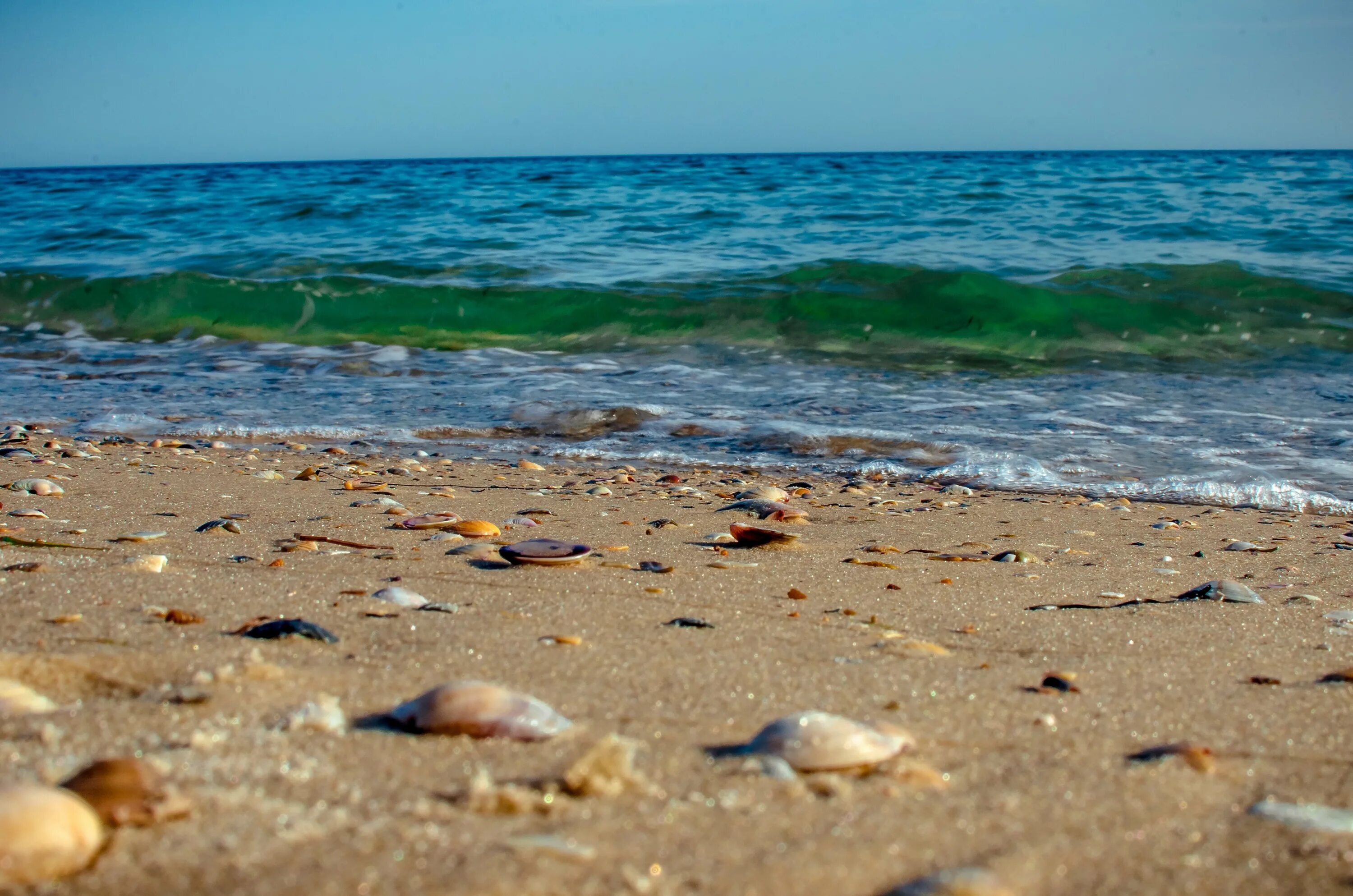 Пляжи черного моря для детей. Галечный берег Азовского моря. Азовское море галечный пляж. Анапа галечный пляж. Черное море галечный пляж.