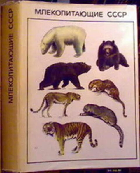 Книга млекопитающие россии. Атлас млекопитающих СССР Смирин. Определитель млекопитающих СССР. Млекопитающие СССР 1970. Бобринский определитель млекопитающих СССР.