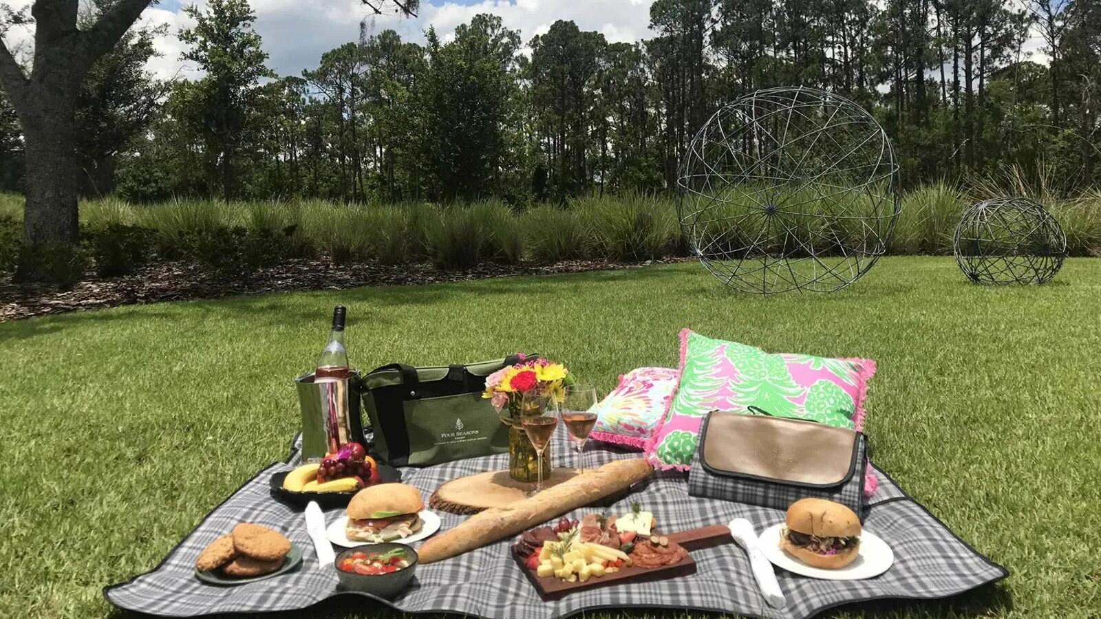 Международный день пикника (International Picnic Day). Пикник Сити Лосиный остров. Летний пикник на природе. Пикник за городом. Песня про пикник