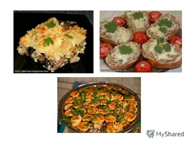 Горячее блюдо курсовые. Горячее блюдо курсовые