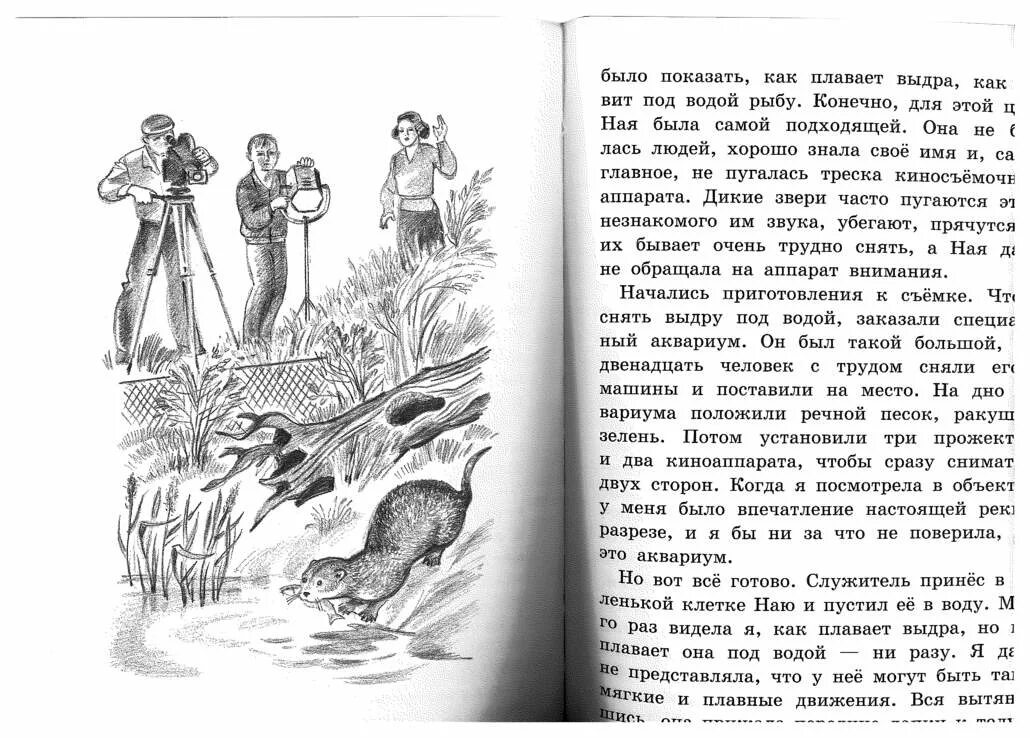 Чаплина наш Воробушек пик книга. Наш Воробушек пик читать.